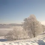 Sonne Münstertal