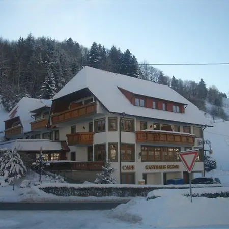 Sonne Гостевой дом 3*