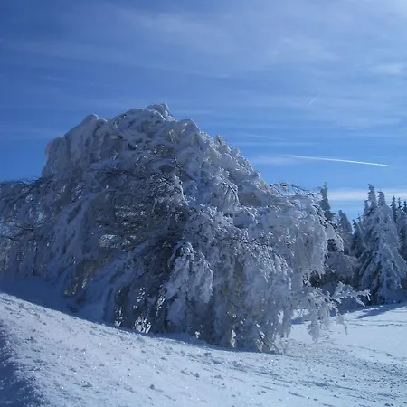 Sonne Πανσιόν