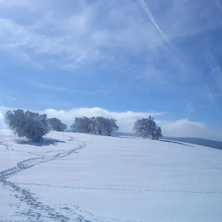 Sonne Πανσιόν Münstertal