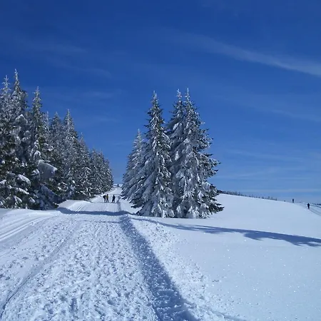 Πανσιόν Sonne